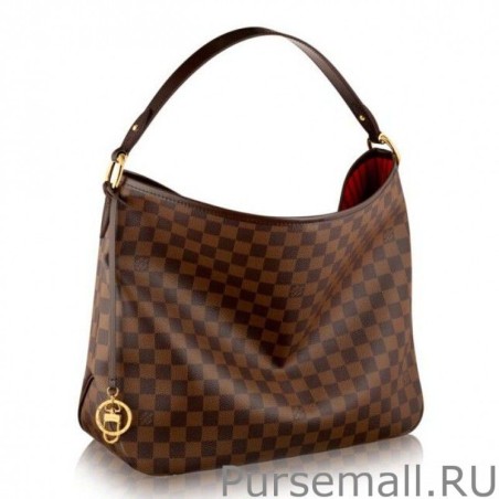 1:1 Mirror Delightful PM Damier Ebene Canvas N41459