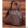 High Quality Sali Damier Ebene Canvas N41399