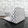 Copy Neonoe Damier Azur Canvas